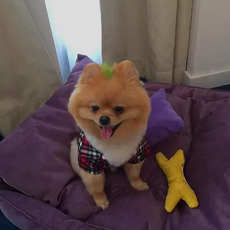 Western ホテル イズミル