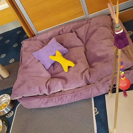 Western ホテル イズミル