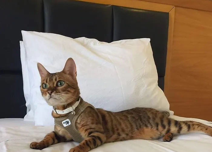 Szálloda Western 4*