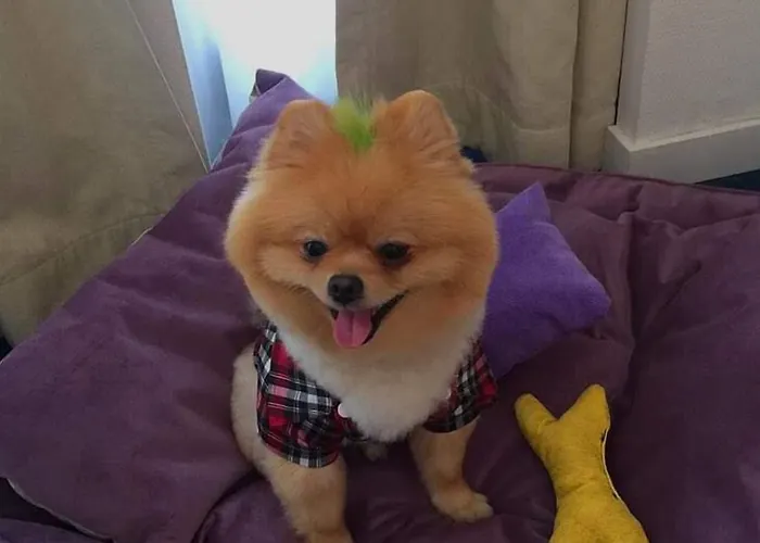 Western Hotel Esmirna